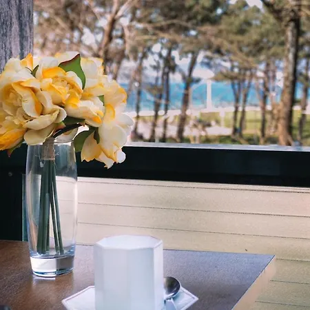 Apartamento Calma En Primera Línea De Playa By